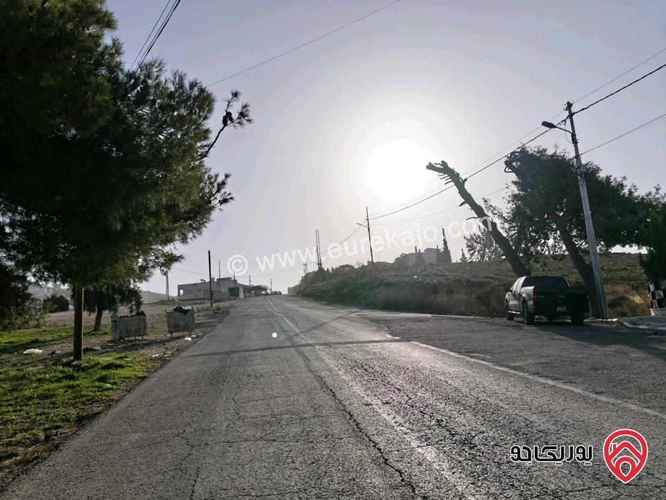 قطعتين أرض مساحة 2 دونم للبيع في عمان - مرج الحمام 