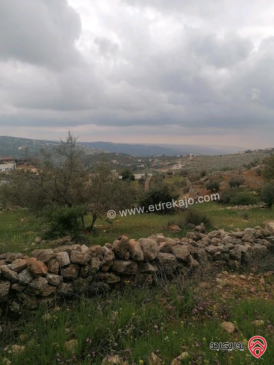 قطعة أرض مساحة 841م للبيع في عمان - بدر الجديدة مفروزة بقوشان مستقل مرتفعة ومطلة واصل كل الخدمات 