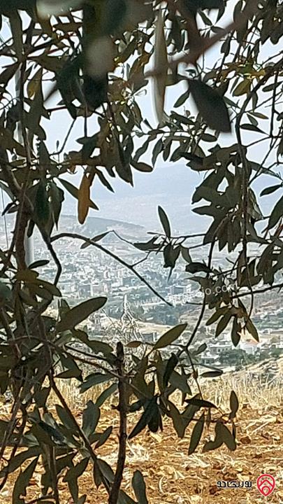 أرض مساحة 750م مشترك محدد للبيع في جرش عصفور 