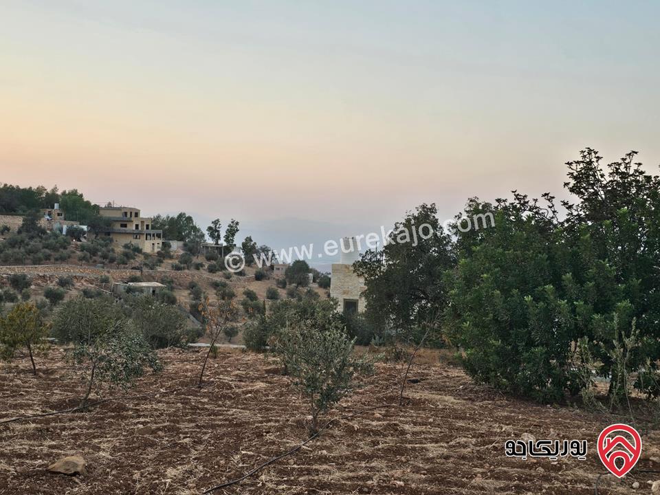 مزرعة ريفية مساحة الأرض 3 دونم و 500م والبناء 130م للبيع في السلط - الصبيحي
