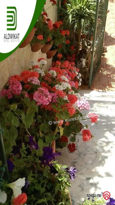 فيلا مساحة الارض 760م ومساحة البناء 800م ومساحة الحديقة 400م للبيع في عمان - الجبيهة/ خلف الجامعة الاردنية