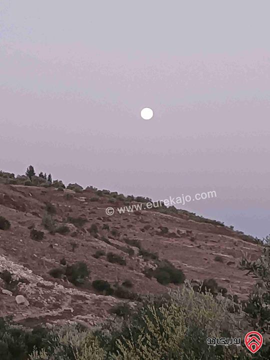 مزرعة مساحة 9 دونم مزروعة رمان و زيتون مرويه من خزان في نفس الارض للبيع في اربد - كفر سوم 
