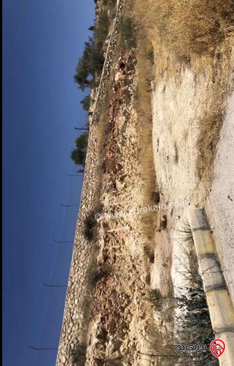 أرض زراعية مساحة 5 دونم للبيع في السلط – حوض الطرازين الكبيرة