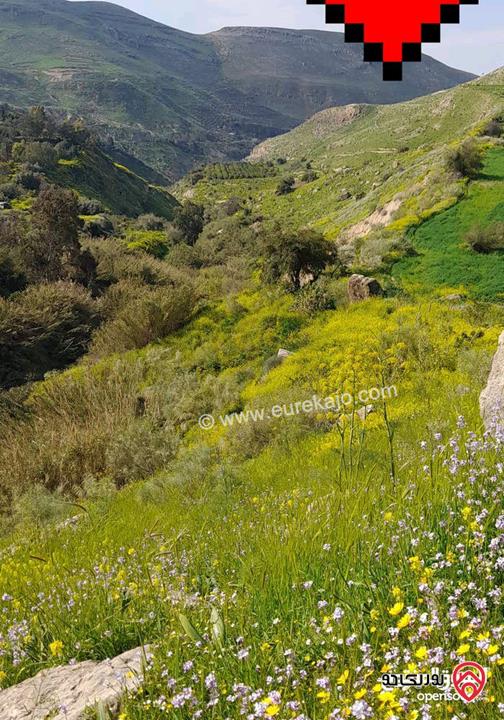 مزرعة مساحة الأرض 3 دونم و 400م والبناء 100م للبيع في السلط