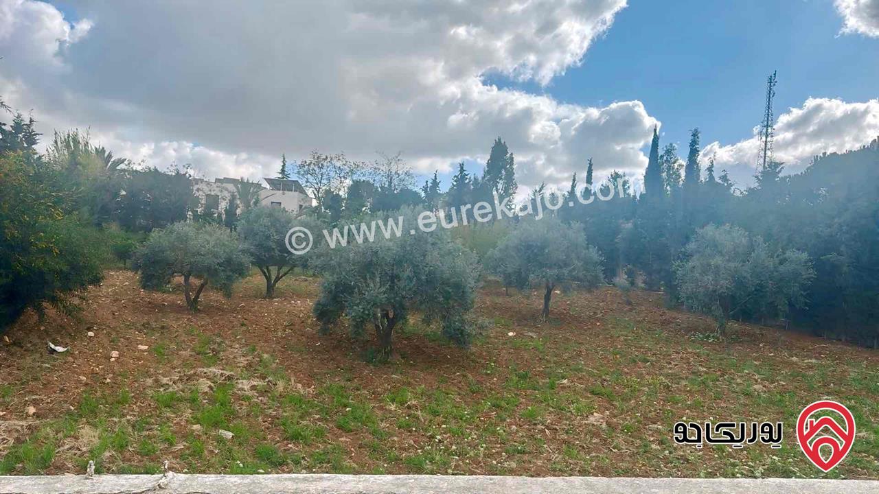 ارض مساحة 2 دونم و 250م للبيع في عمان - الدير دابوق 