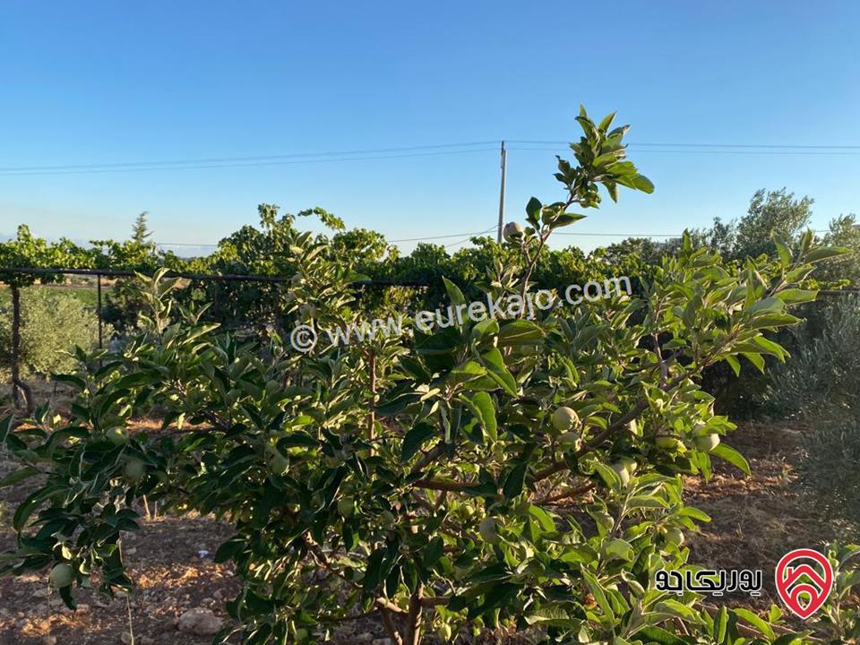 مزرعة مساحة الأرض 4 دونم و 398م والبناء 230م للبيع في جرش - قفقفا