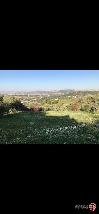 قطع أراضي عدد 5 مساحة كل قطعة 1 دونم سكن أ للبيع في السلط دعم الغزالات