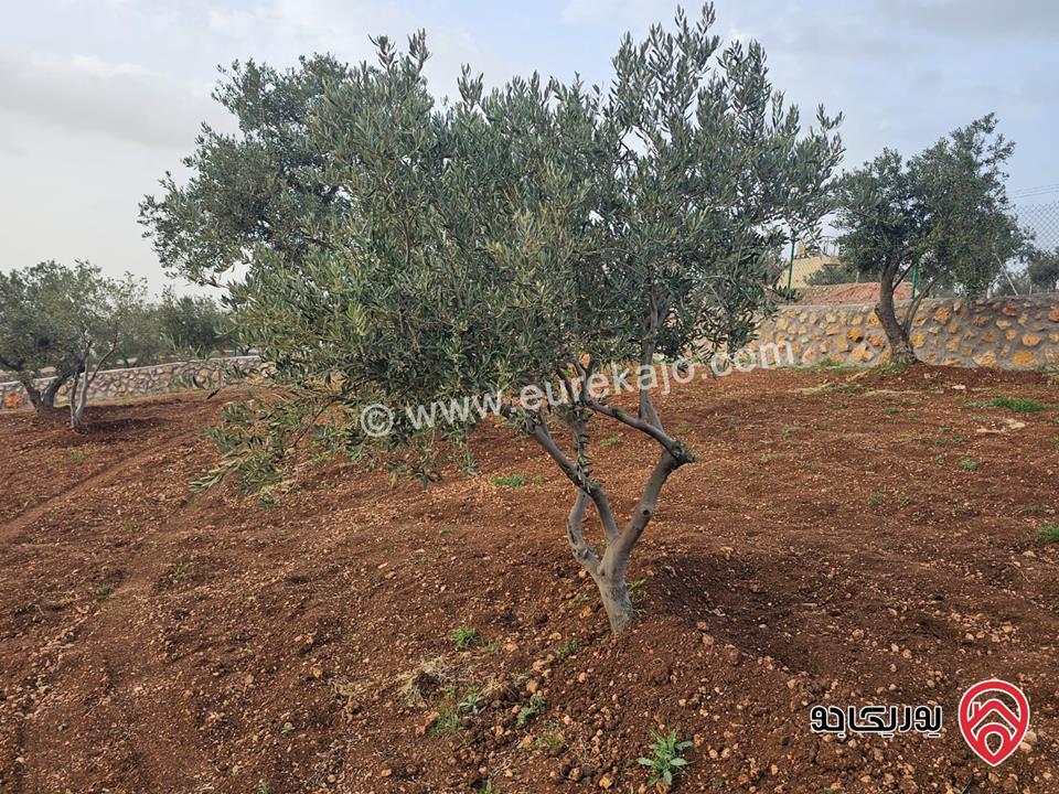 أرض مساحة 3464م للبيع في السلط – الصبيحي