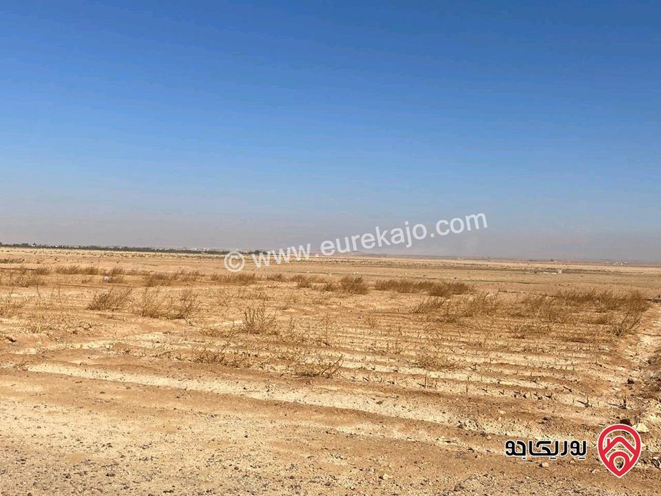 قطعة ارض مساحة 5 دونم و 641م للبيع في البحر الميت - السويمة الكورنيش