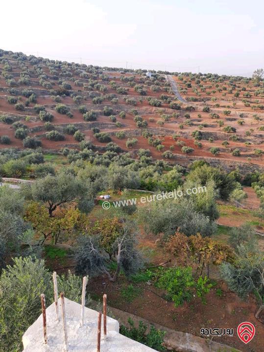 مزرعة زيتون مساحة الأرض 8 دونم و 300م و البناء مساحة 100م للبيع في السلط