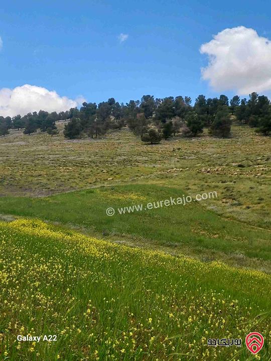 قطعة أرض مساحة 3 دونم و 400م للبيع