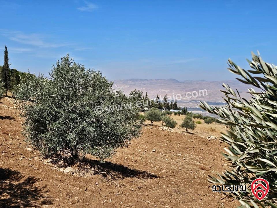 قطعة ارض مساحة 3 دونم و 500م للبيع في جبال السلط الصبيحي منطقة ميسرا الاجمل بالمنطقة والاقل سعر من  المالك مباشرة ودون عمولات  