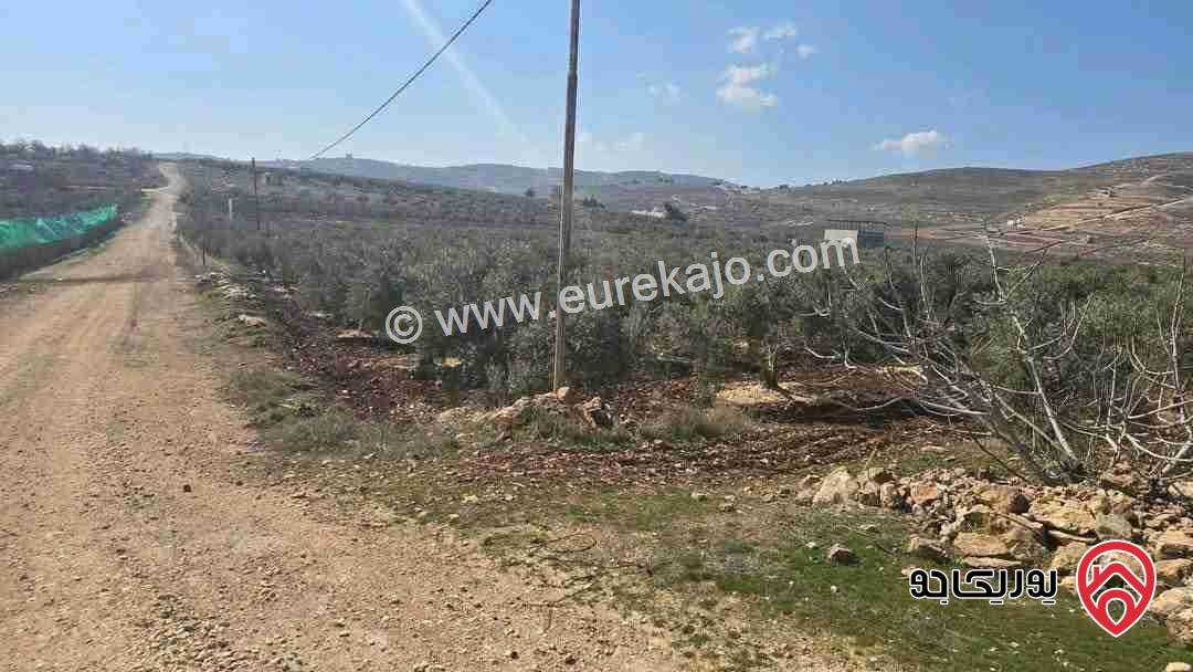 أرض مساحة 3 دونم و 400م للبيع من أراضي جنوب عمان - الزعفران