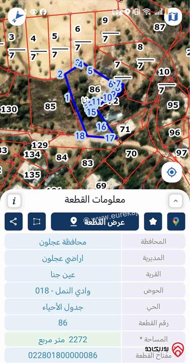 قطعة أرض مساحة 2 دونم و 272م للبيع من أراضي عجلون عين جنا