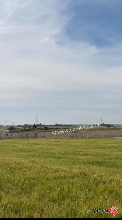 اراضي سكنية مساحة 1 دونم و 700م للبيع في عمان - مقابل مطار الملكة علياء من المالك مباشرة 