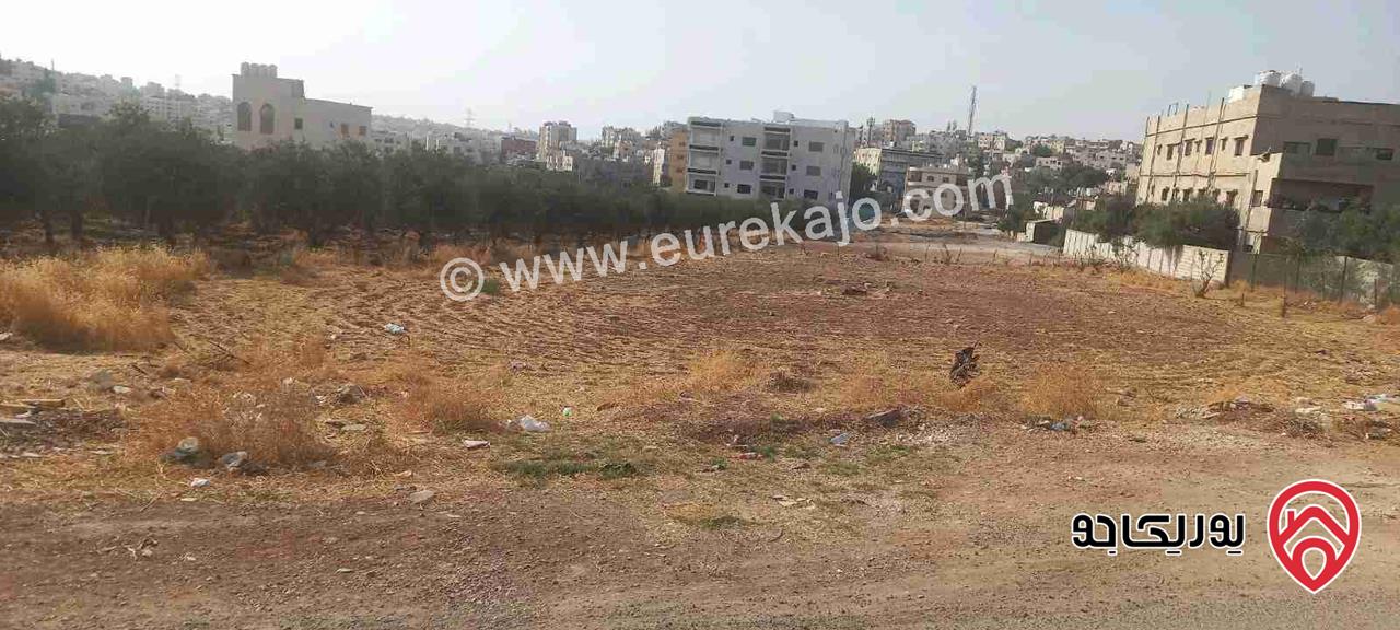 ارض مساحة 1 دونم و 950م للبيع في عمان - جاوا