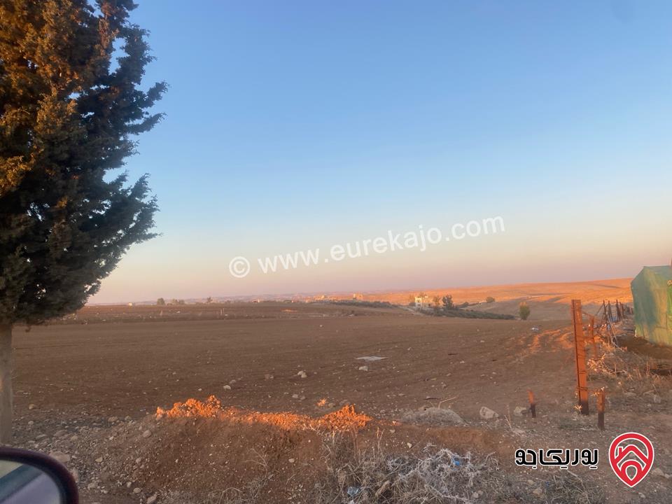 قطعة ارض مساحة 24 دونم للبيع في مادبا / ذيبان 