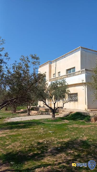 مزرعة مساحة الأرض 10 دونمات عليها بيت طابقين مساحة 440م للبيع في طريق المطار - قرية الزيتونه
