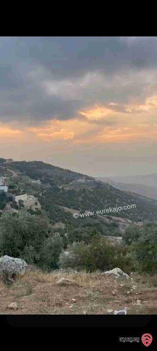 قطعة أرض مساحة 5856 متر للبيع في البلقاء - منطقة ماحص /الميده