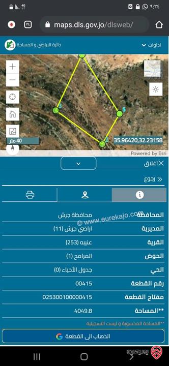 ارض استثمارية مساحة 4049.8م للبيع في جرش - عنيبة