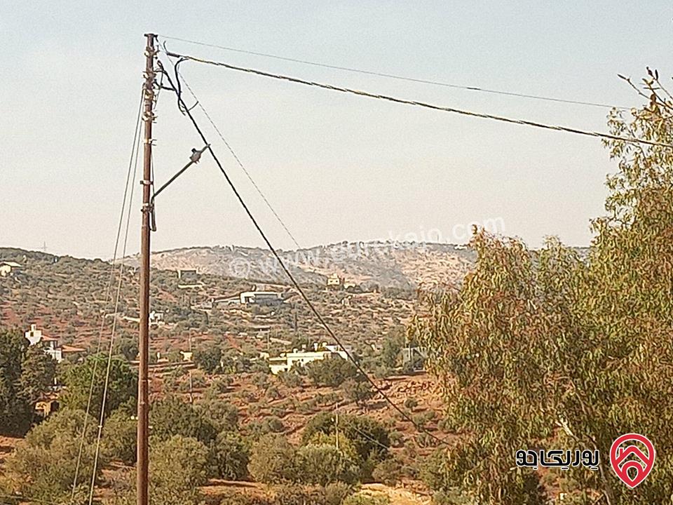 أرض مساحة 936م مميزة للبيع في السلط الصبيحي بيوضة تصلح سكن أو مزرعة أو شاليه خاص 