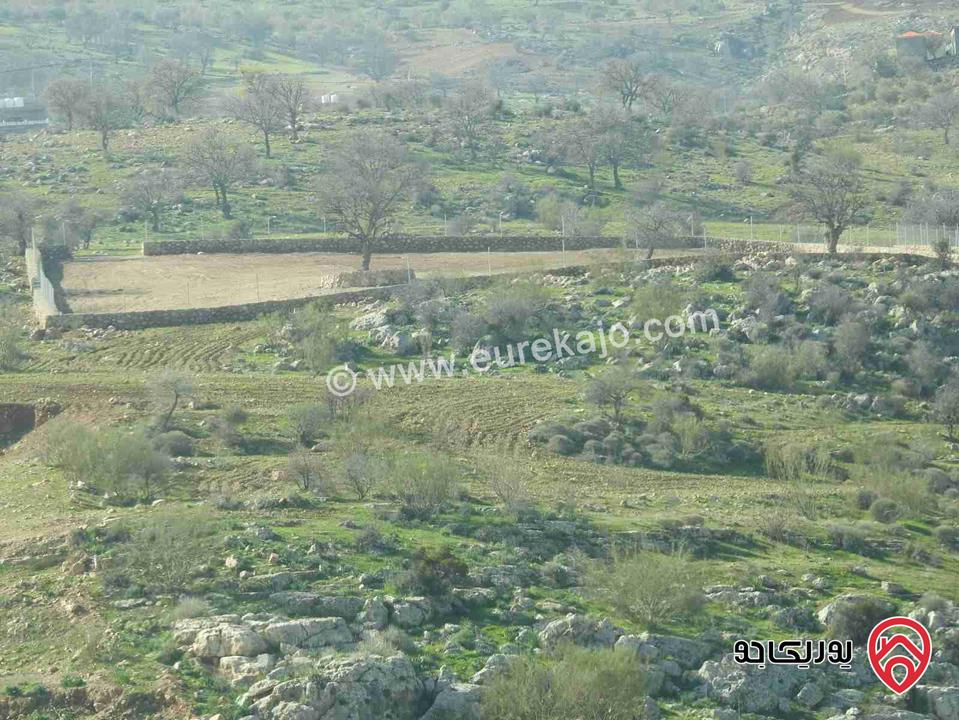 أرض للبيع في عمان - المسيطبة مساحة 4 دونم حوض 1 الفرش بسعر مغري 