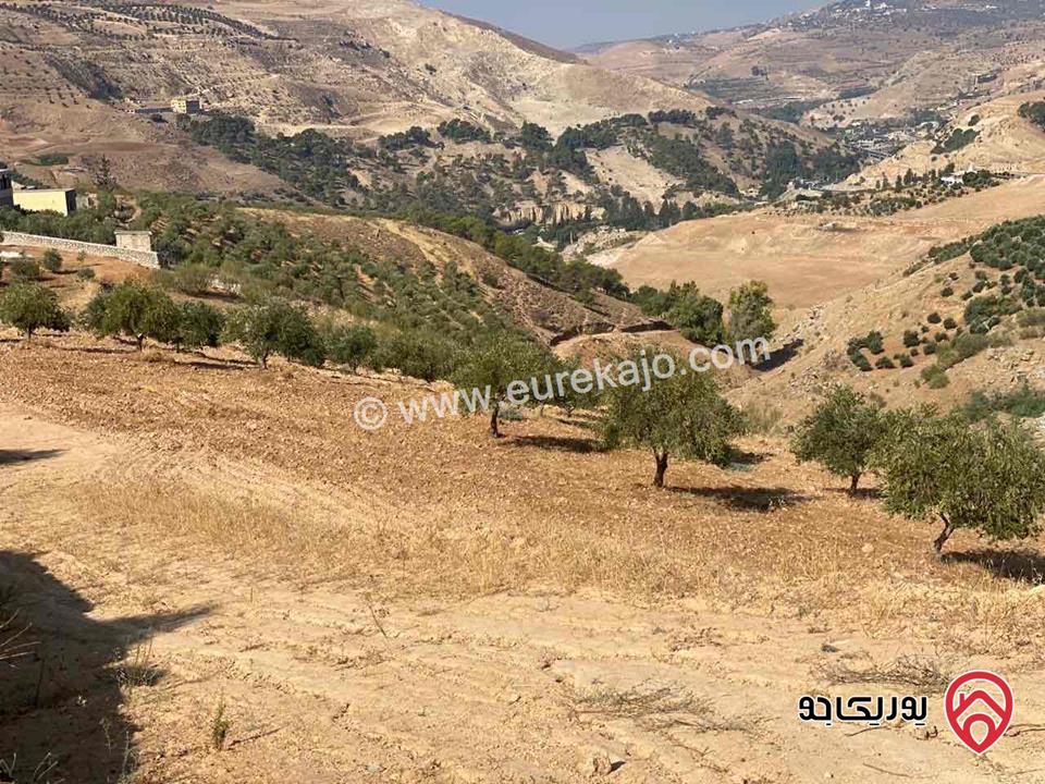 قطعة أرض زاعي مساحة 4 دونم للبيع في جرش - الكفير