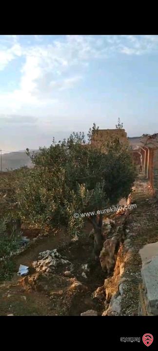 أرض مساحة 546م  للبيع في عمان - ناعور