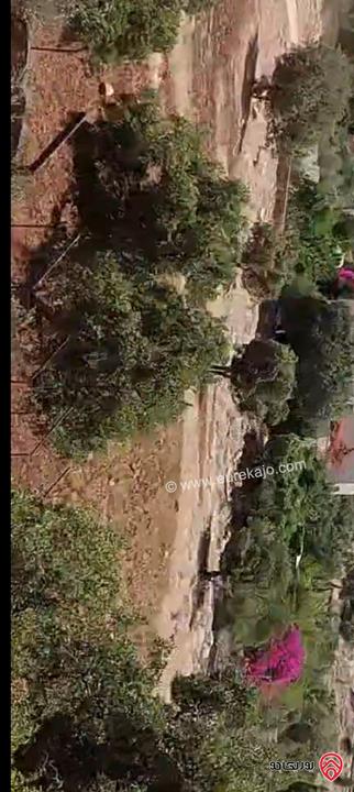 قطعة ارض مساحة 2 دونم و 500م للبيع في عمان - شفا بدران 