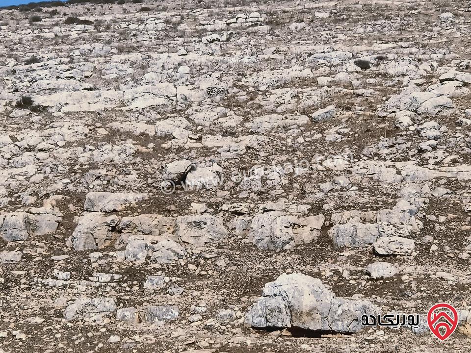 قطعة أرض مساحة 6 دونم و 172م للبيع في إربد لواء المزار الشمالي قرية صمد