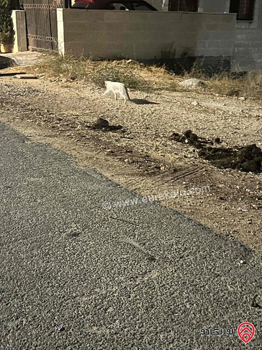 أرض مساحة 1 دونم للبيع في عمان - شفا بدران