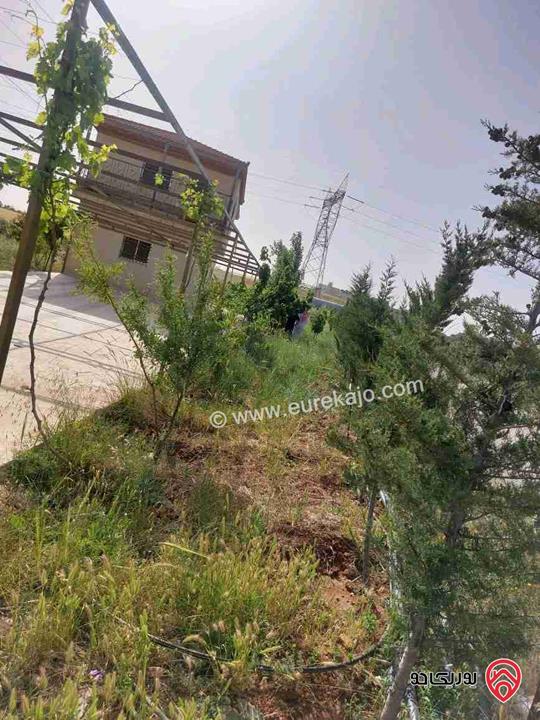 مزرعة للبيع في رحاب المفرق 3 دونم ونصف وبيت نظام امريكي مع تنك حجم كبير داخلها