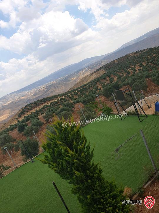 مزرعة مع شاليه ريفي مساحة الأرض 11 دونم والبناء 216م للبيع في جرش - بمنطقة الفوارة قضاء برما 