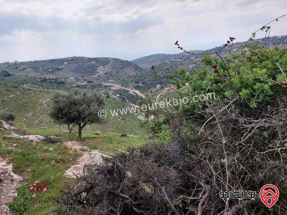  أرض سكنية للبيع في السلط - الجبيل مساحة 1052م (تصنيف أ)