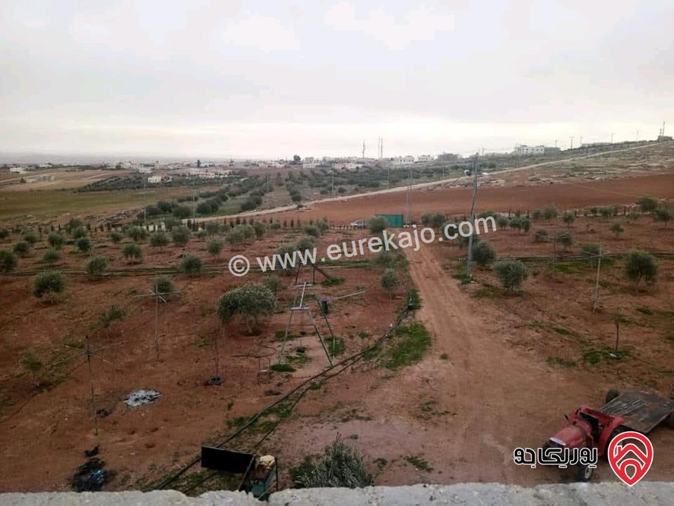 أرض زراعية مساحة 25 دونم للبيع في الكرك - فقوع