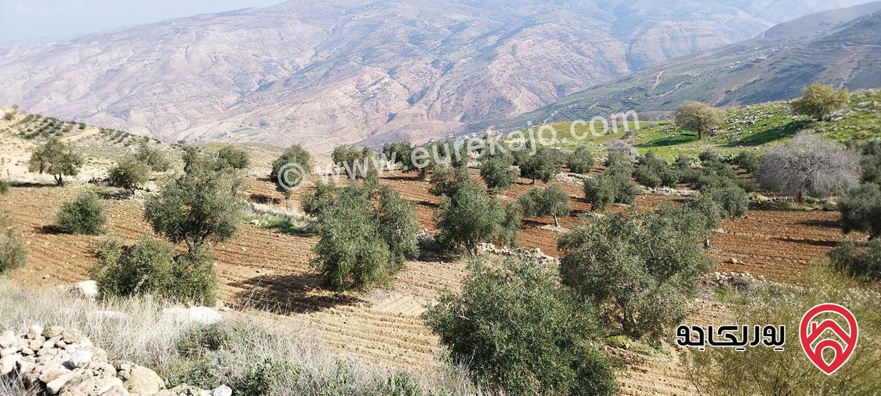 قطعة أرض للبيع في السلط- منطقة صبيحي مساحة 27 دنم ونصف