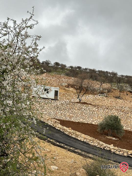 أرض مساحة 3 دونم و 400م للبيع في الزرقاء - صروت