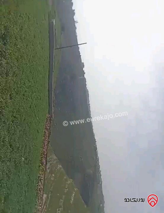 أرض مساحة 1 دونم للبيع في السلط ابو الهركاب 