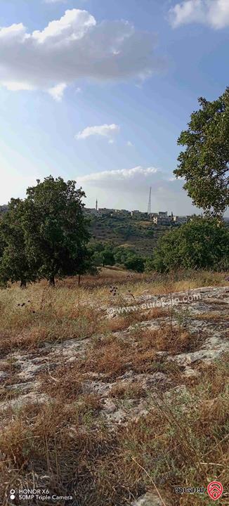 قطعة أرض زراعية مساحة 3900م للبيع في اربد - زبدة الوسطية 