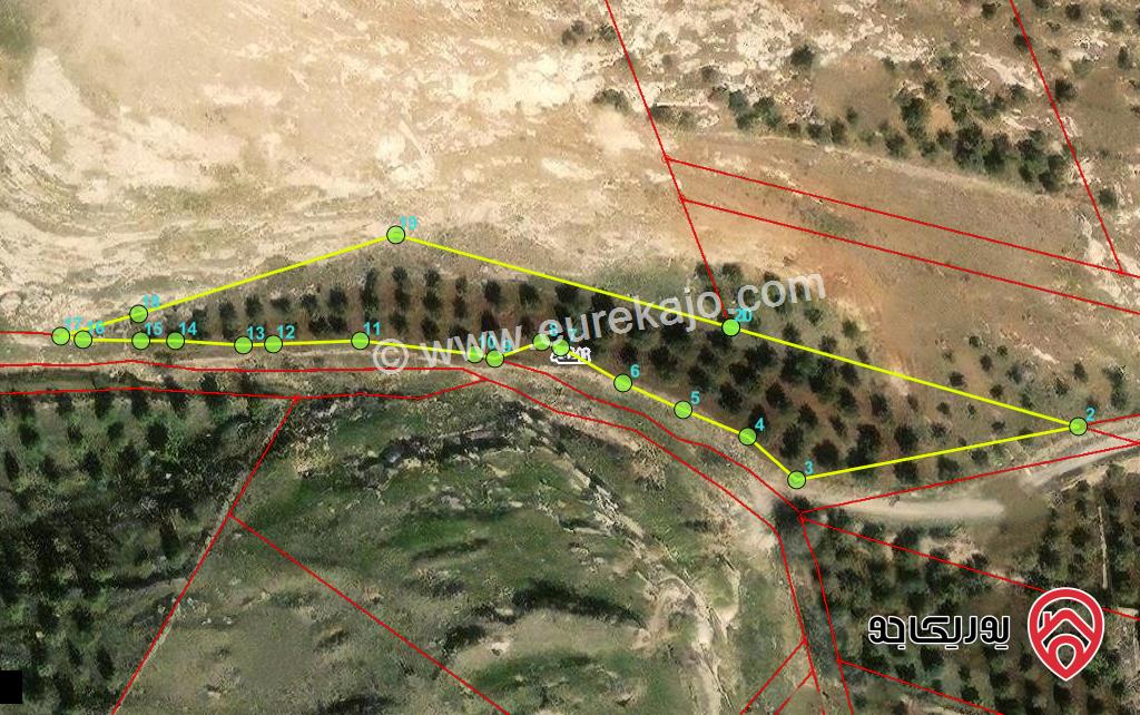 قطعة ارض مساحة 3 دونم و 811م للبيع في اربد - من اراضي  ناطفة جنوب قصر العوادين 