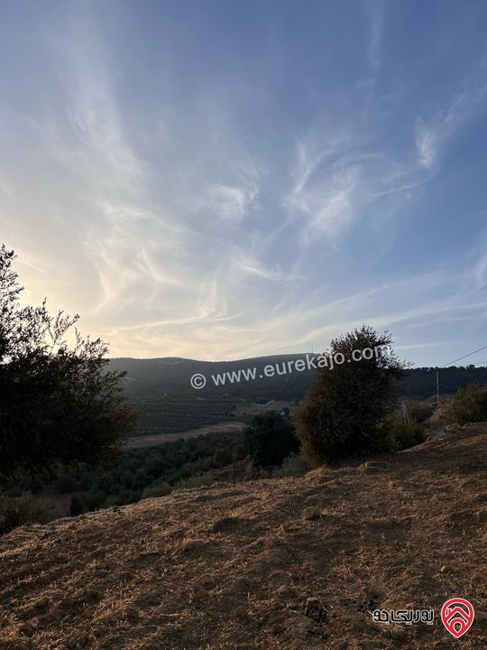 مزرعة مساحة الأرض 6 دونم و 500م للبيع في جرش منطقة جمله قريبة من محمية دبين اطلاله جميلة جداً وسعر حرق وربنا يبارك لصاحب النصيب