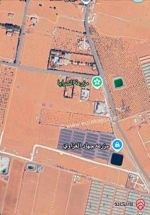 أرض مساحة 1 دونم و 500م للبيع في عمان - أم العمد - سكن ريفي