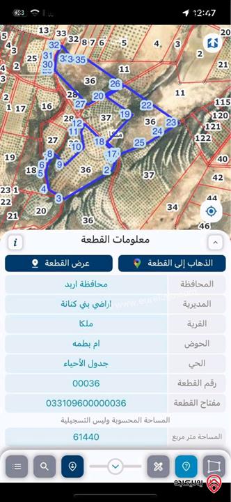 قطعة ارض مساحة 100 دونم مشجرة زيتون للبيع في اربد - ملكا