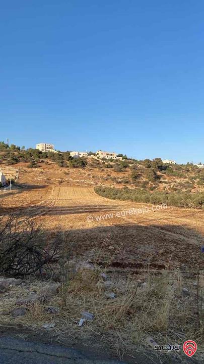 قطعة أرض مساحة 5 دونم للبيع في السلط - أم زيتونة