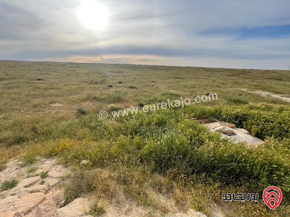 أرض مساحة 21 دونم و 400م للبيع من أراضي شرق عمان - الماضونة قرب جمرك عمان الجديد 