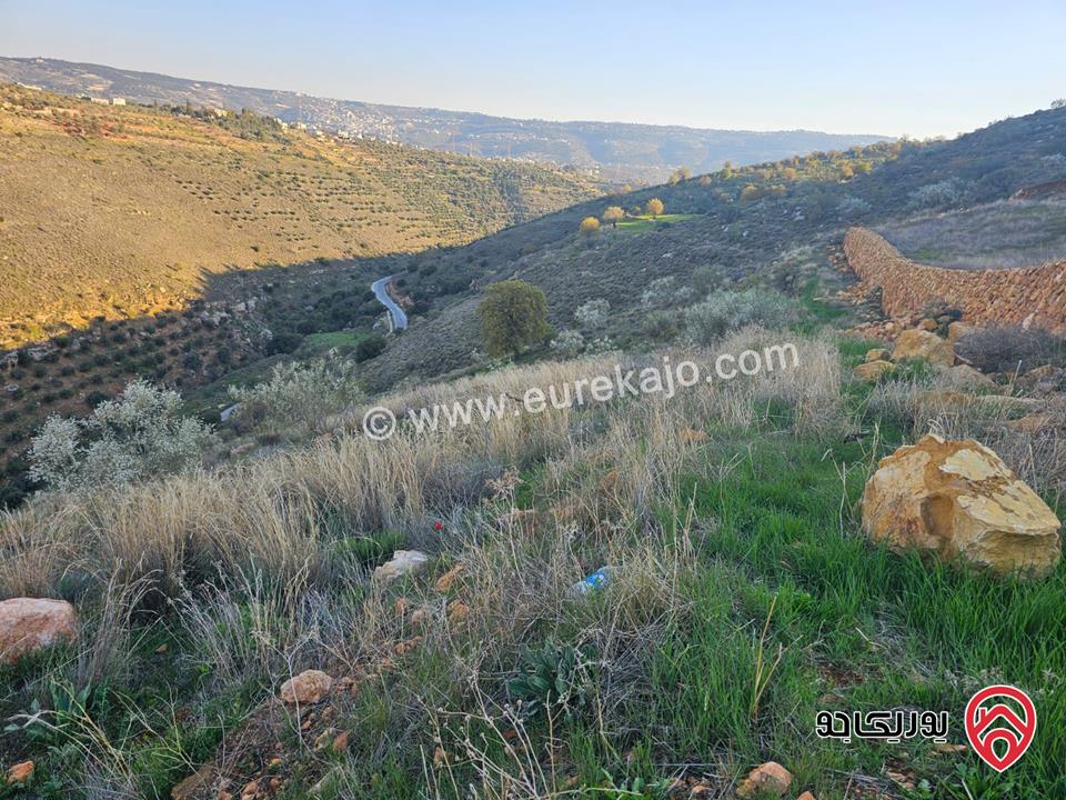 أرض مميزة مساحة 1800م للبيع في عمان - بدر الجديدة – عراق الأمير | سكن أخضر ب
