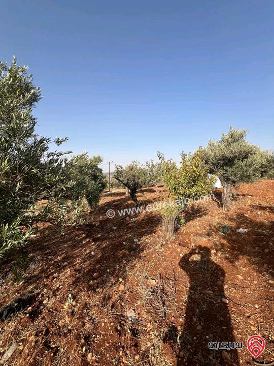 قطعة أرض ريفية مساحة 7 دونم للبيع في في جرش سوف حوض بيدر الحمص 