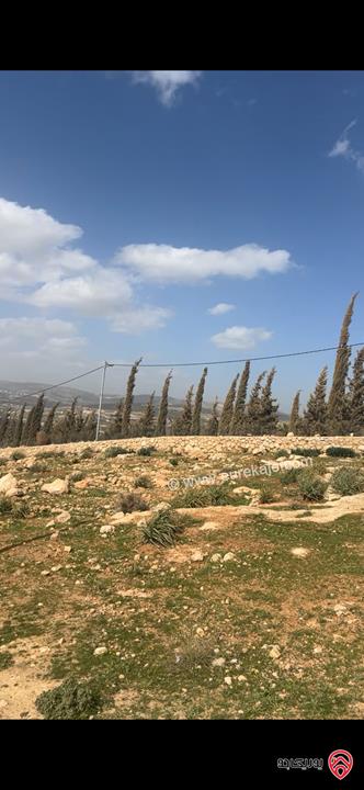 أرض مساحة 500م للبيع في جرش - عنيبه اسكان المهندسين حوض ابو الرمل 