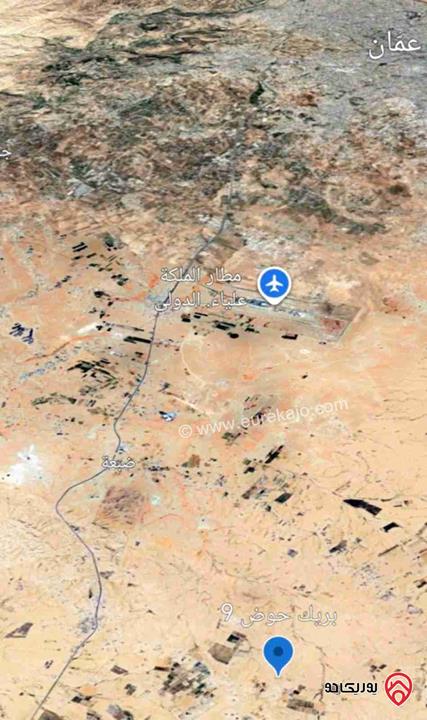 قطعة أرض مساحة 800م للبيع في عمان - الجيزة