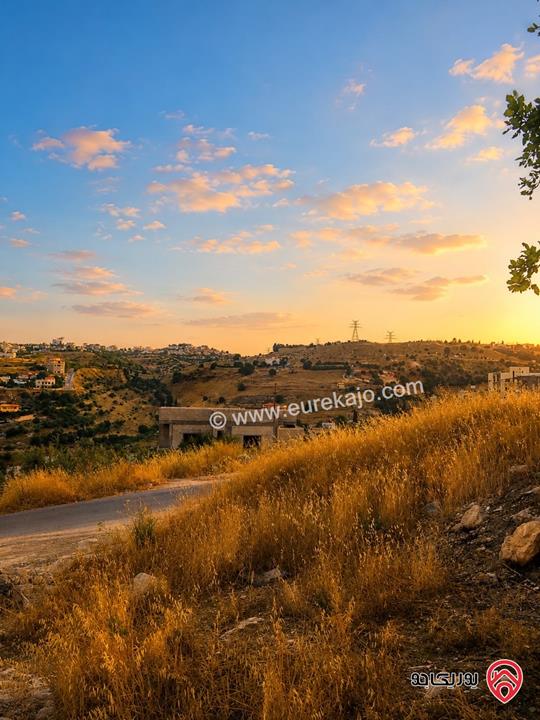 قطعة ارض مساحة 647م للبيع في عمان - بدر الجديدة